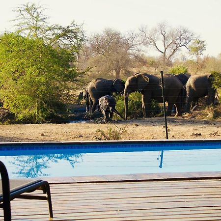 Masodini Game Lodge Grietjie Game Reserve Exterior foto
