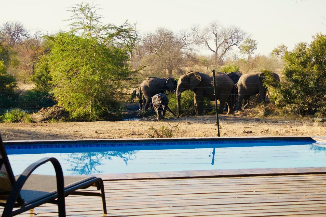 Masodini Game Lodge Grietjie Game Reserve Exterior foto